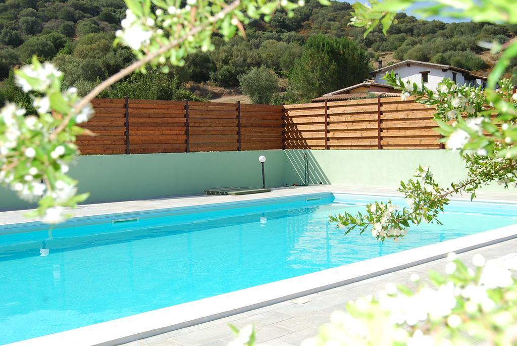 B&B Il Mirto Di Paola Torpe Ngoại thất bức ảnh